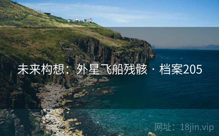 未来构想：外星飞船残骸 · 档案205