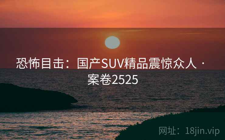 恐怖目击：国产SUV精品震惊众人 · 案卷2525