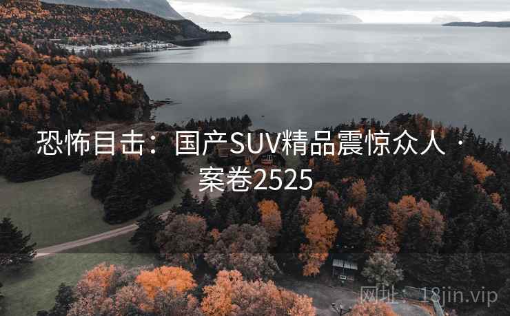 恐怖目击：国产SUV精品震惊众人 · 案卷2525