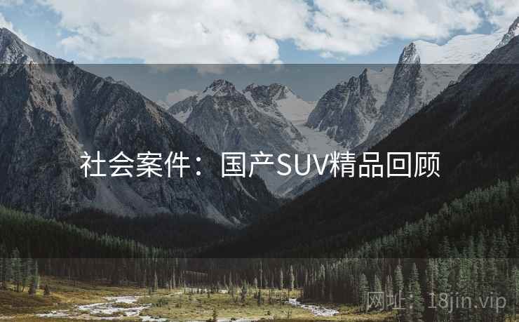 社会案件：国产SUV精品回顾